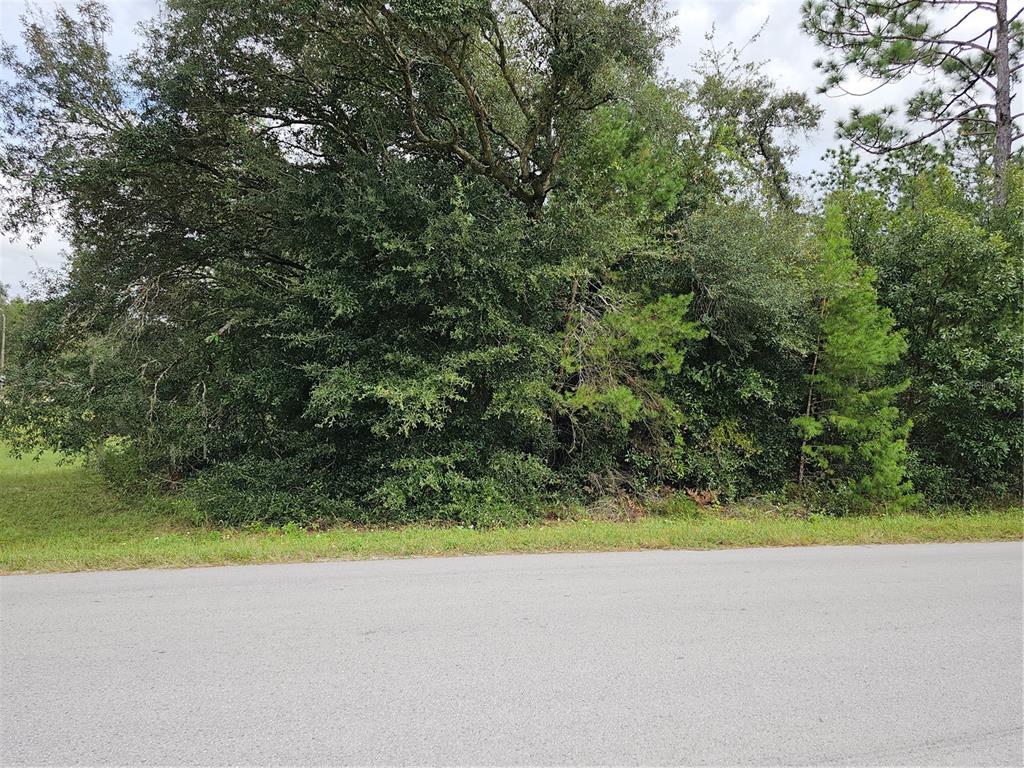 0 Southwest 129th Terrace Road Dunnellon, FL 34432 - Photo 1 of 1