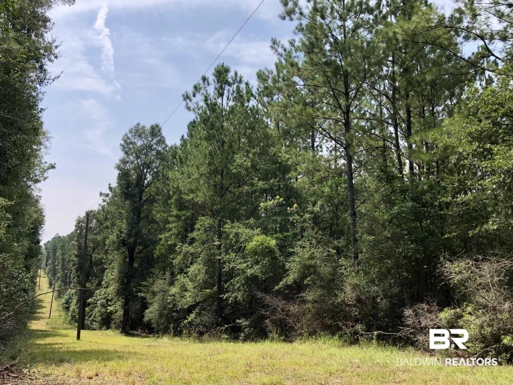 18560 Mason Street Citronelle, AL 36522 - Photo 2 of 45