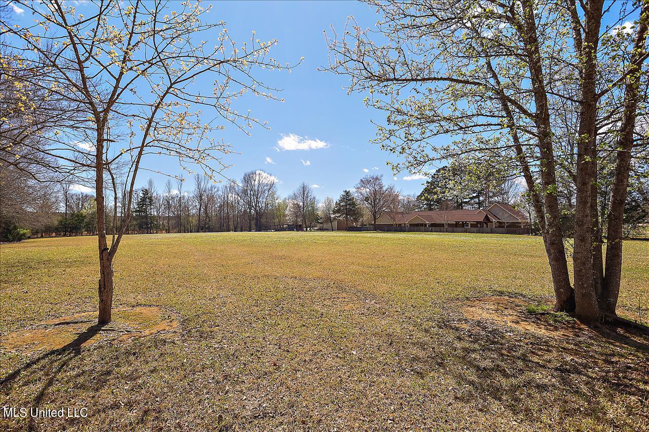 195 Oak Ridge Drive Raymond, MS 39154 - Photo 51 of 57 195 Oak Ridge Dr (52)