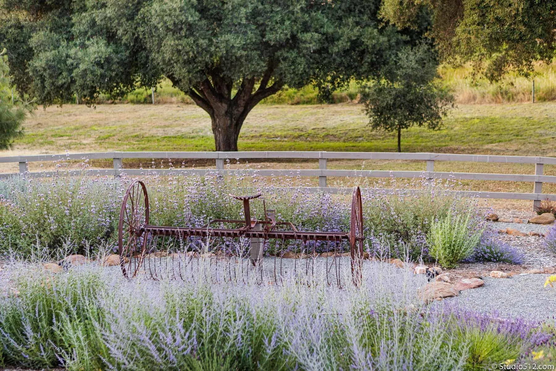 3208 Eagle Peak Road Julian, CA 92036 - Photo 22 of 65 a view of a garden with a lake view