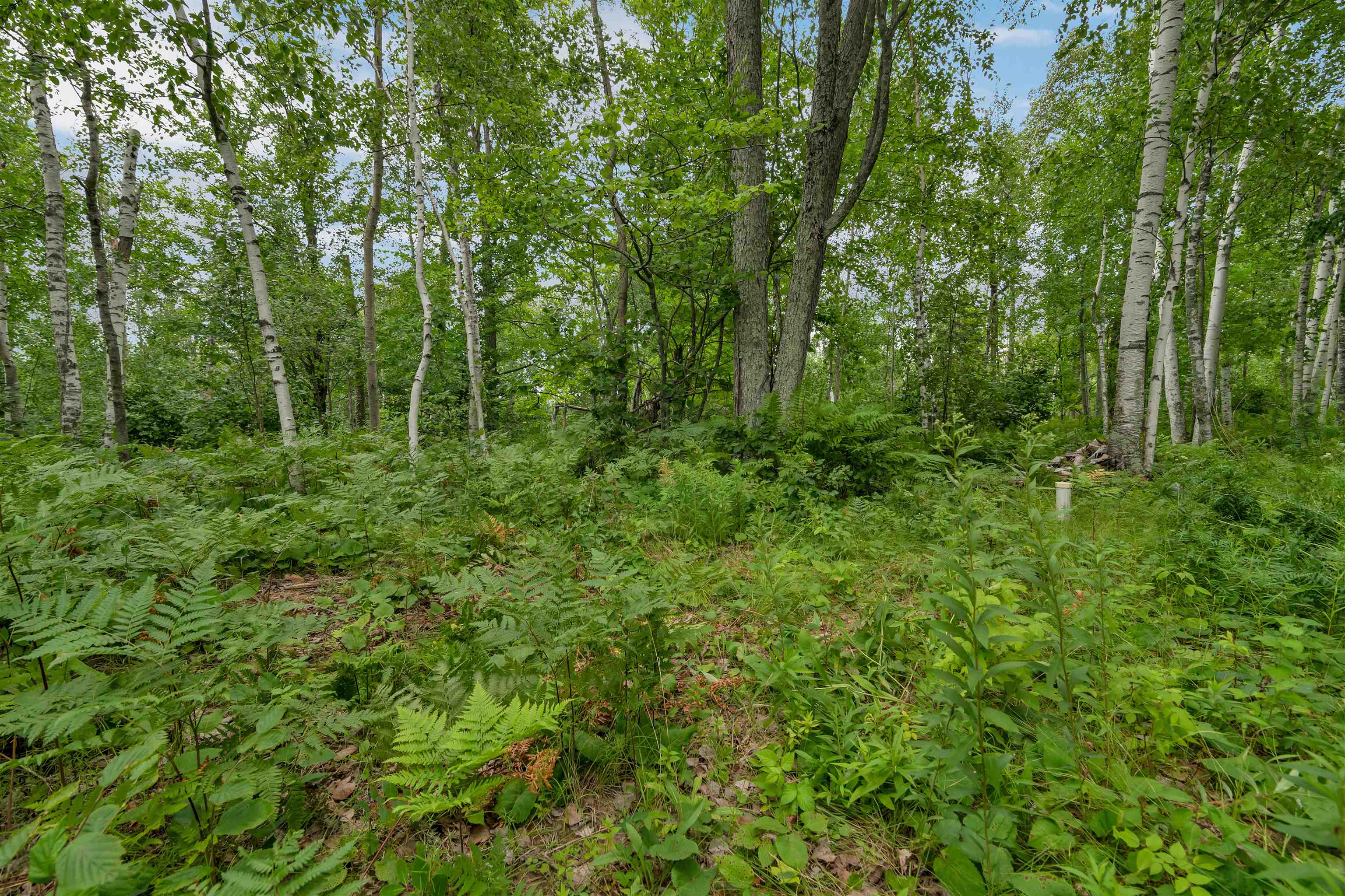 16788 Nicolet Road Townsend, WI 54175 - Photo 59 of 75