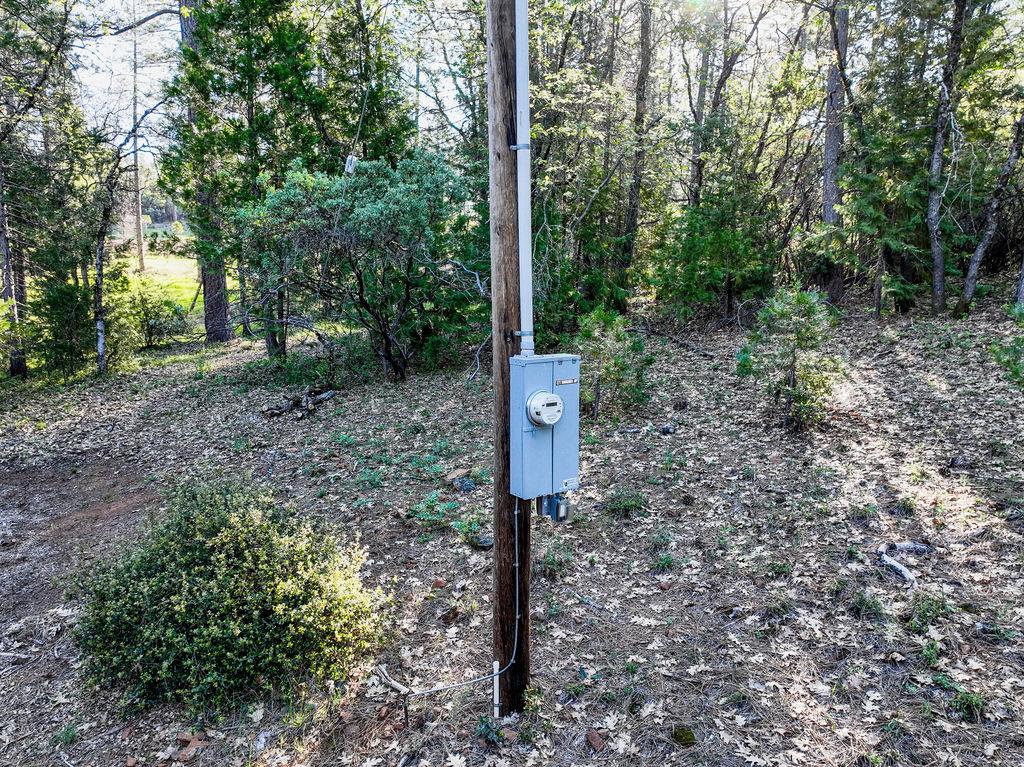 13279 Thoroughbred Loop Grass Valley, CA 95949 - Photo 27 of 33 a view of a park that has large trees