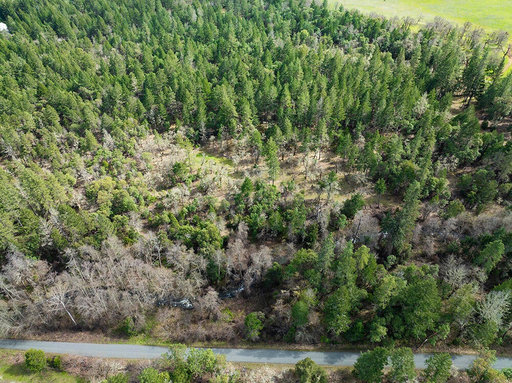 15150 Water Gap Road Williams, OR 97544 - Photo 50 of 53 55