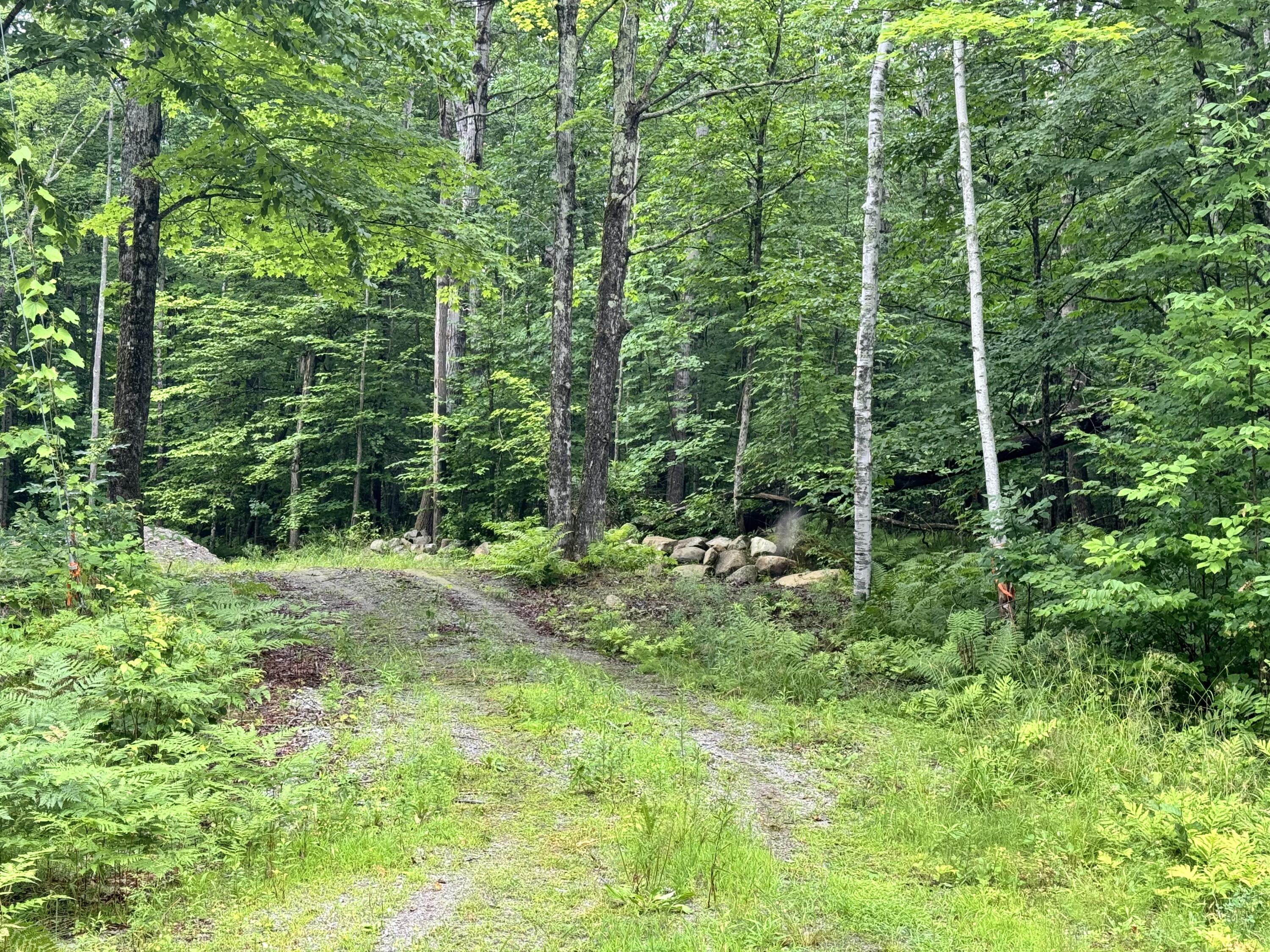 373 Pinnacle Road Canaan, ME 04924 - Photo 1 of 2 driveway view