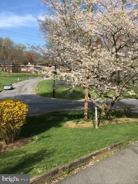 view from driveway Spring 2021