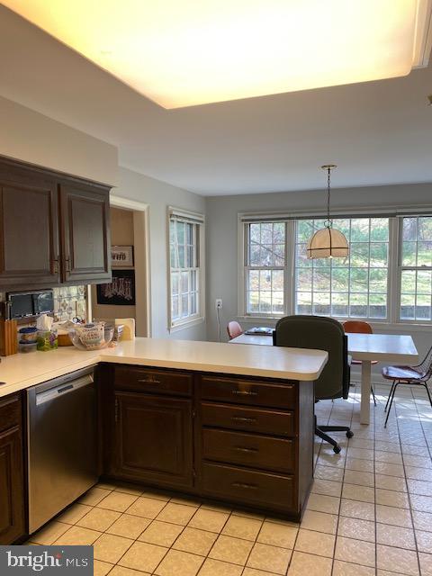 kitchen - view toward backyard
