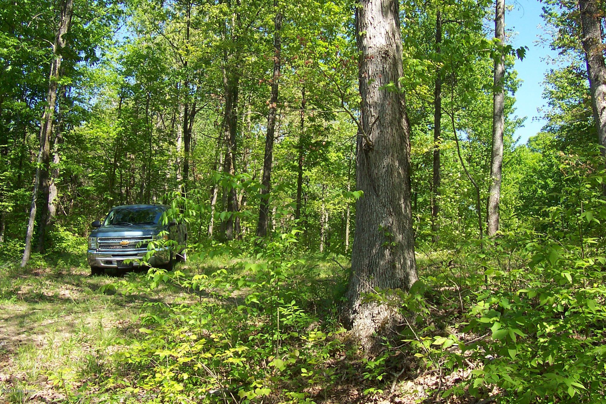 0 Skaggs Road Clarkson, KY 42726 - Photo 26 of 26 100_7336