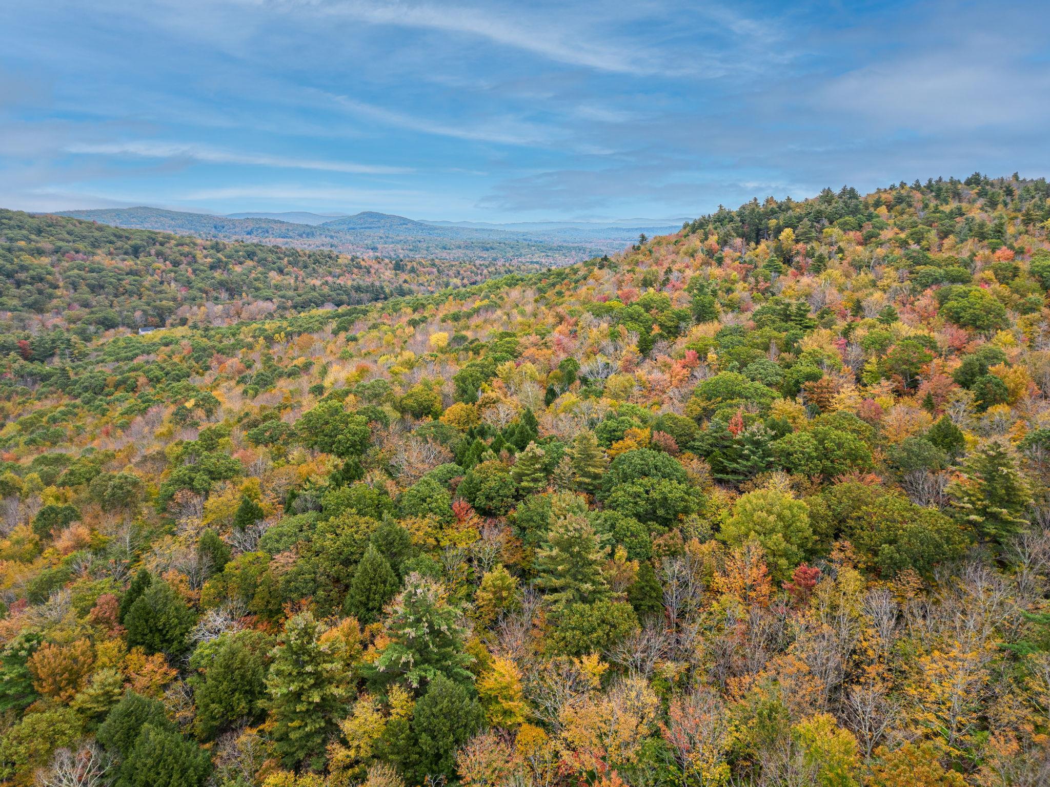 47 Sweeney Road Washington, NH 03280 - Photo 19 of 27