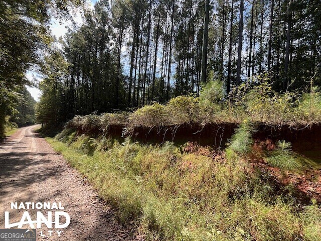 2741 Bethany Church Road Madison, GA 30650 - Photo 1 of 1 a view of a garden with a pathway