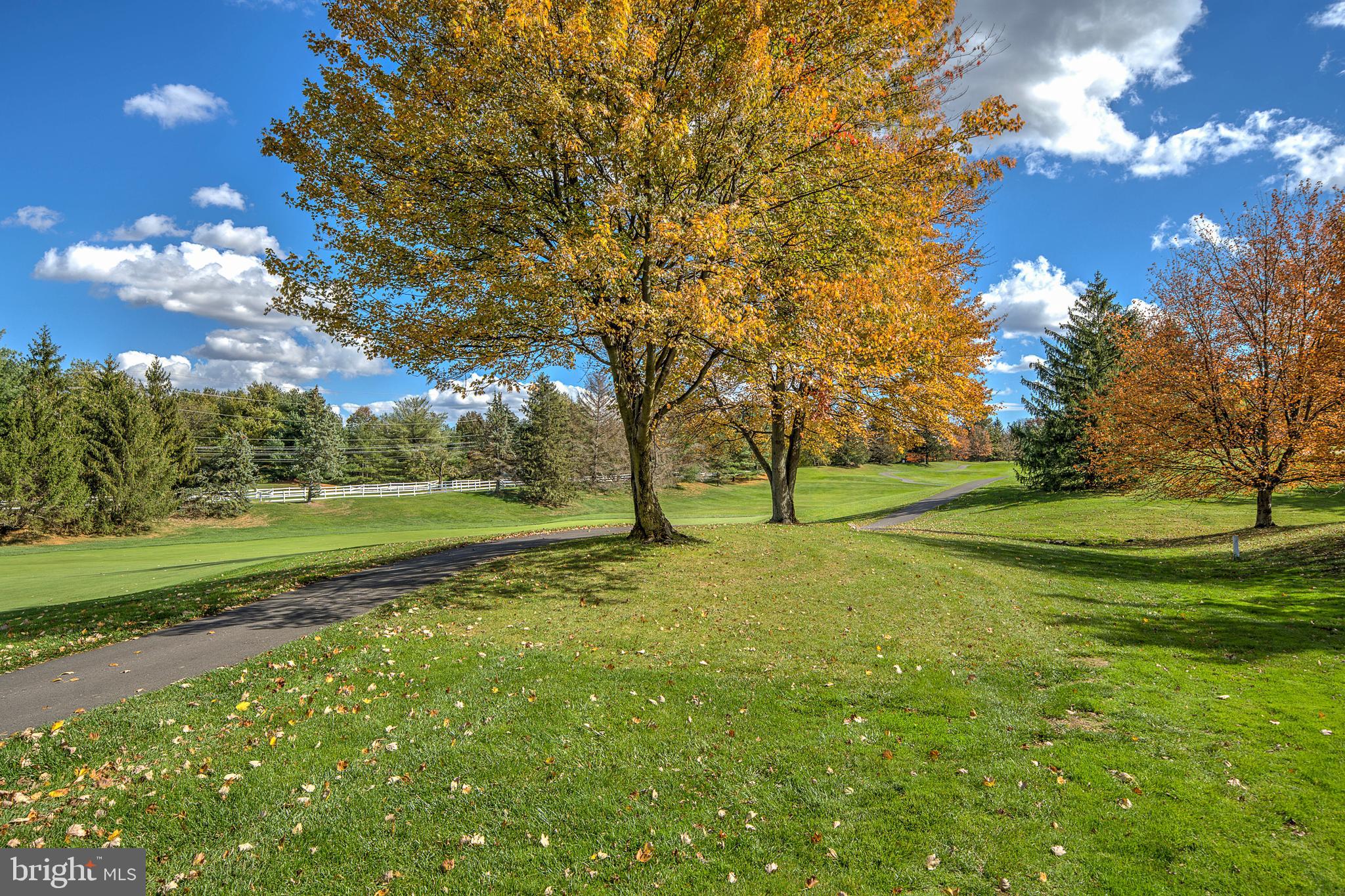 145 Sawgrass Drive Blue Bell, PA 19422 - Photo 46 of 61 a view of outdoor space with green field and trees