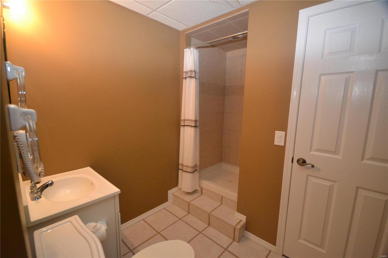 400 Covered Bridge Lane Belleville, IL 62221 - Photo 68 of 74