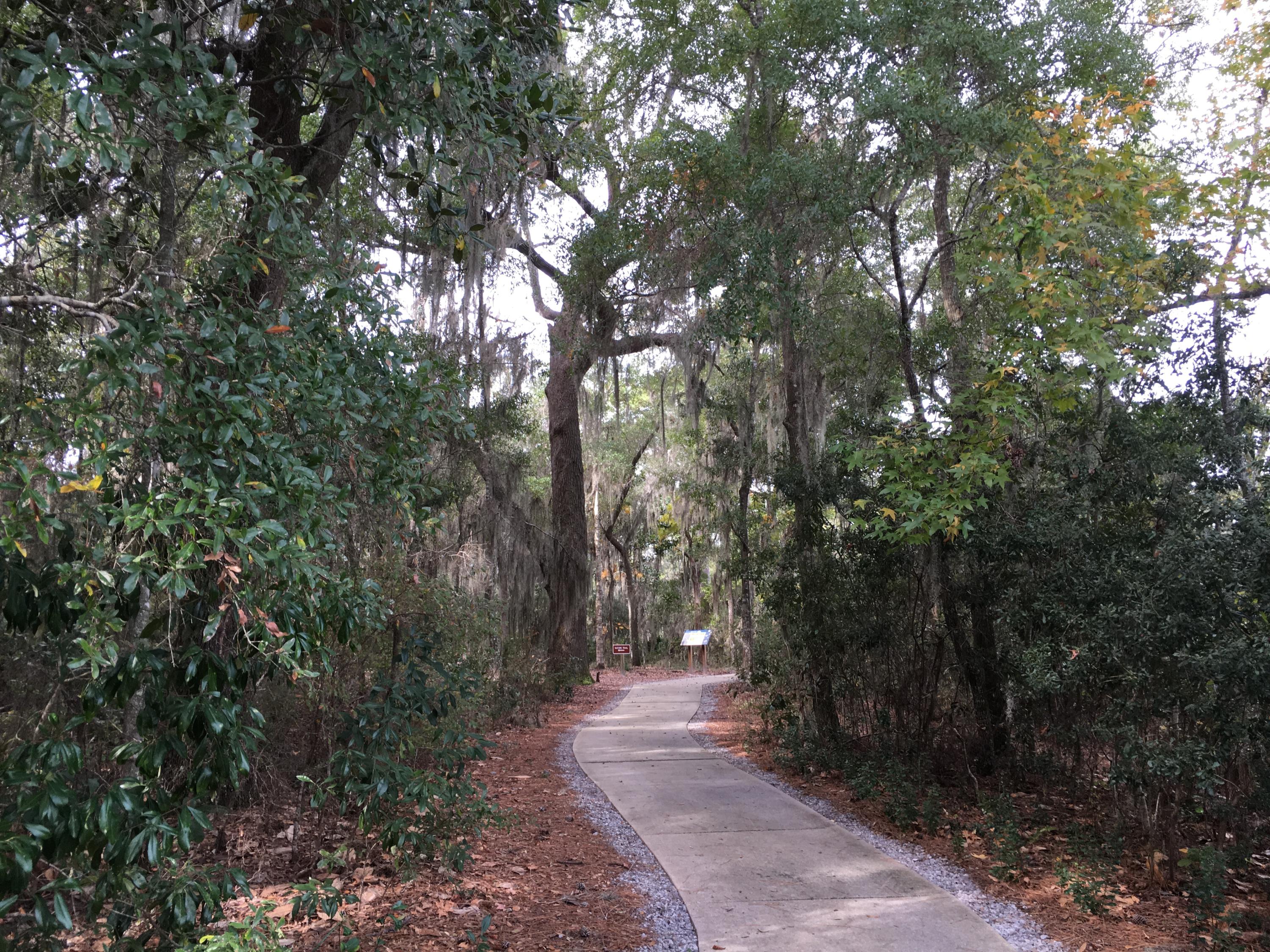 64 Montclair Avenue Santa Rosa Beach, FL 32459 - Photo 17 of 35 Gallery Image 17