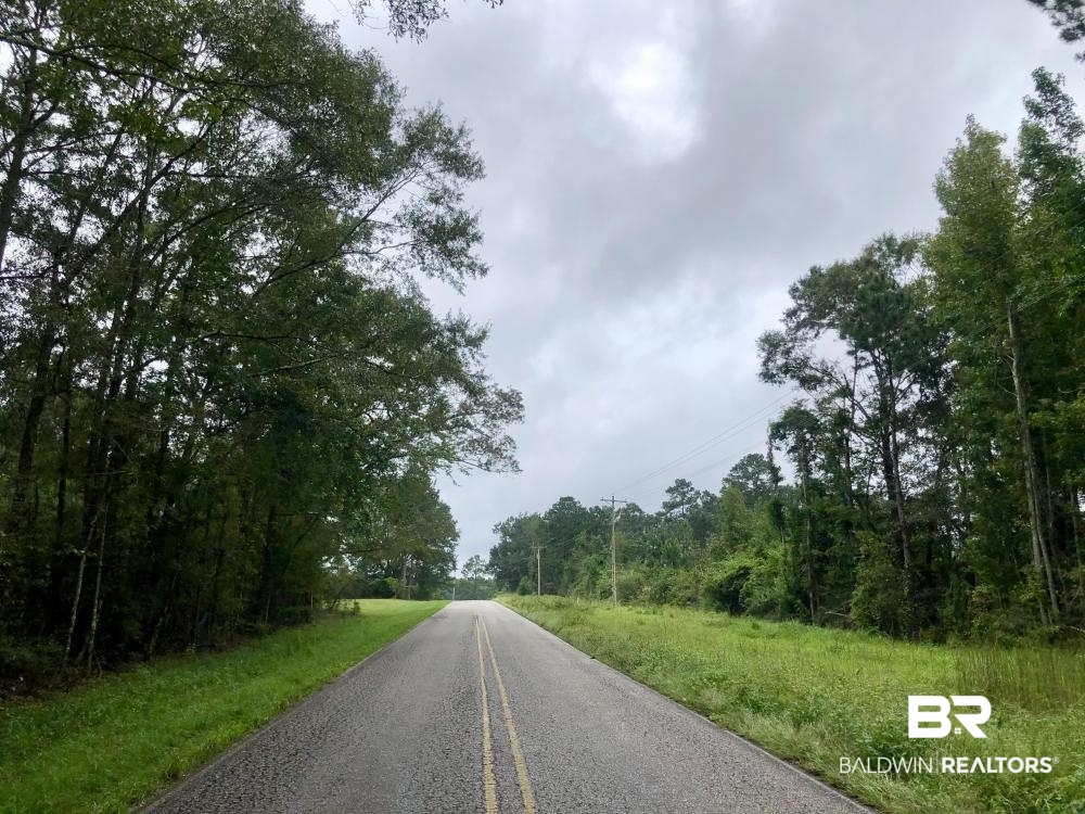 0 Nathan Jordan Road Chatom, AL 36518 - Photo 12 of 12