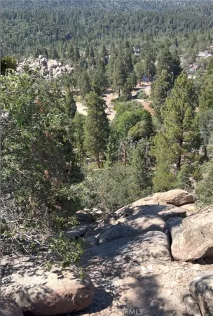 $50,000 | 1 Deer Lick Drive, Running Springs, CA 92382