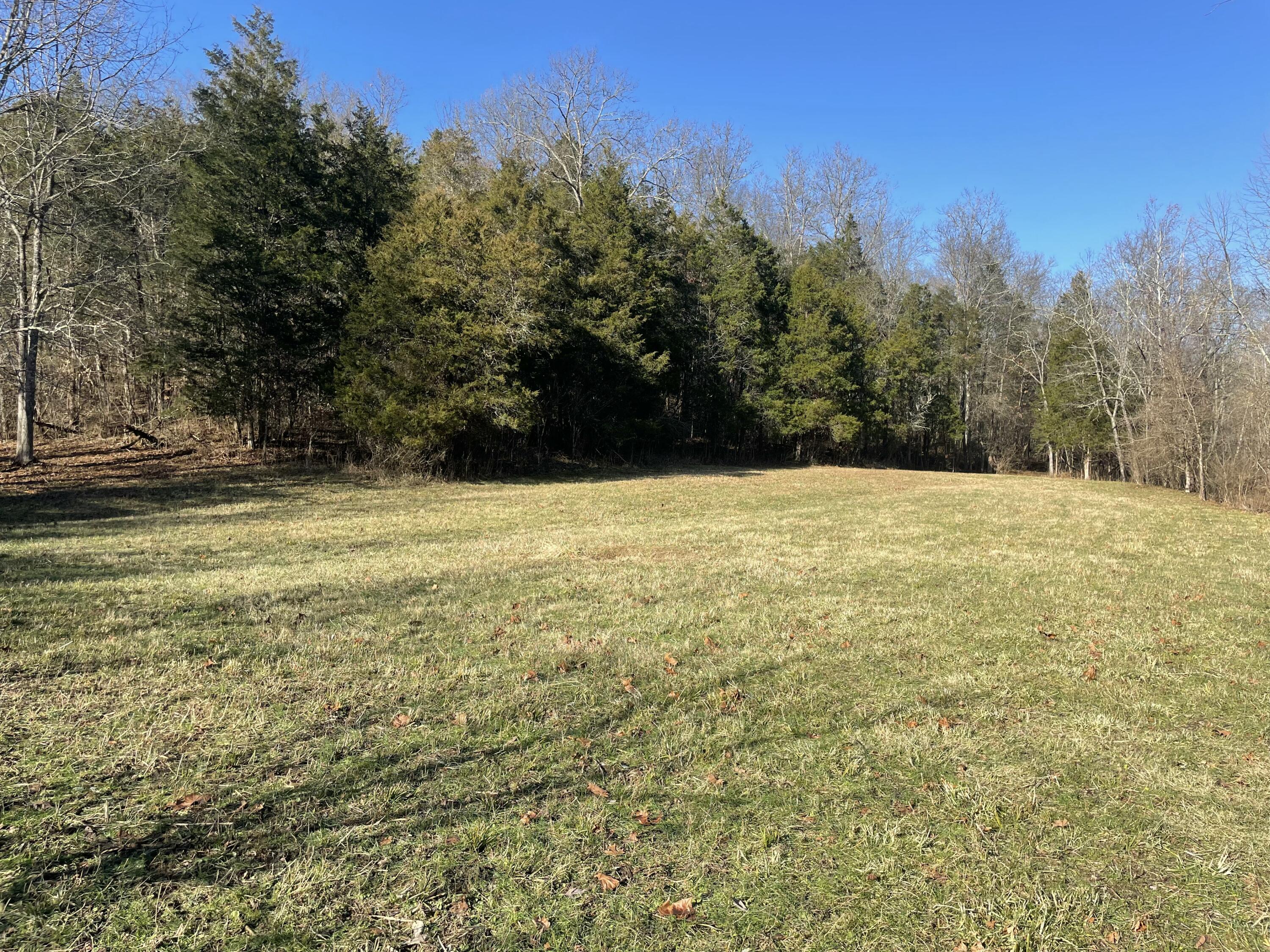 1078 Hamilton Road Brooksville, KY 41004 - Photo 37 of 50