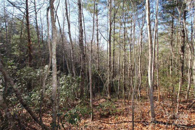 $58,000 | V/l Tahoe Trail, Unit 7, Collettsville, NC 28611