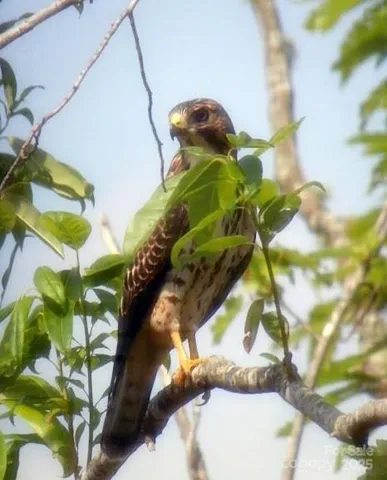 $58,000 | V/l Tahoe Trail, Unit 7, Collettsville, NC 28611