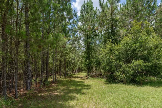 $177,040 | 0 Oriole Road, Alma, GA 31510