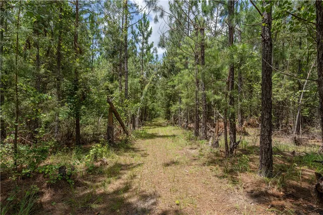 $177,040 | 0 Oriole Road, Alma, GA 31510