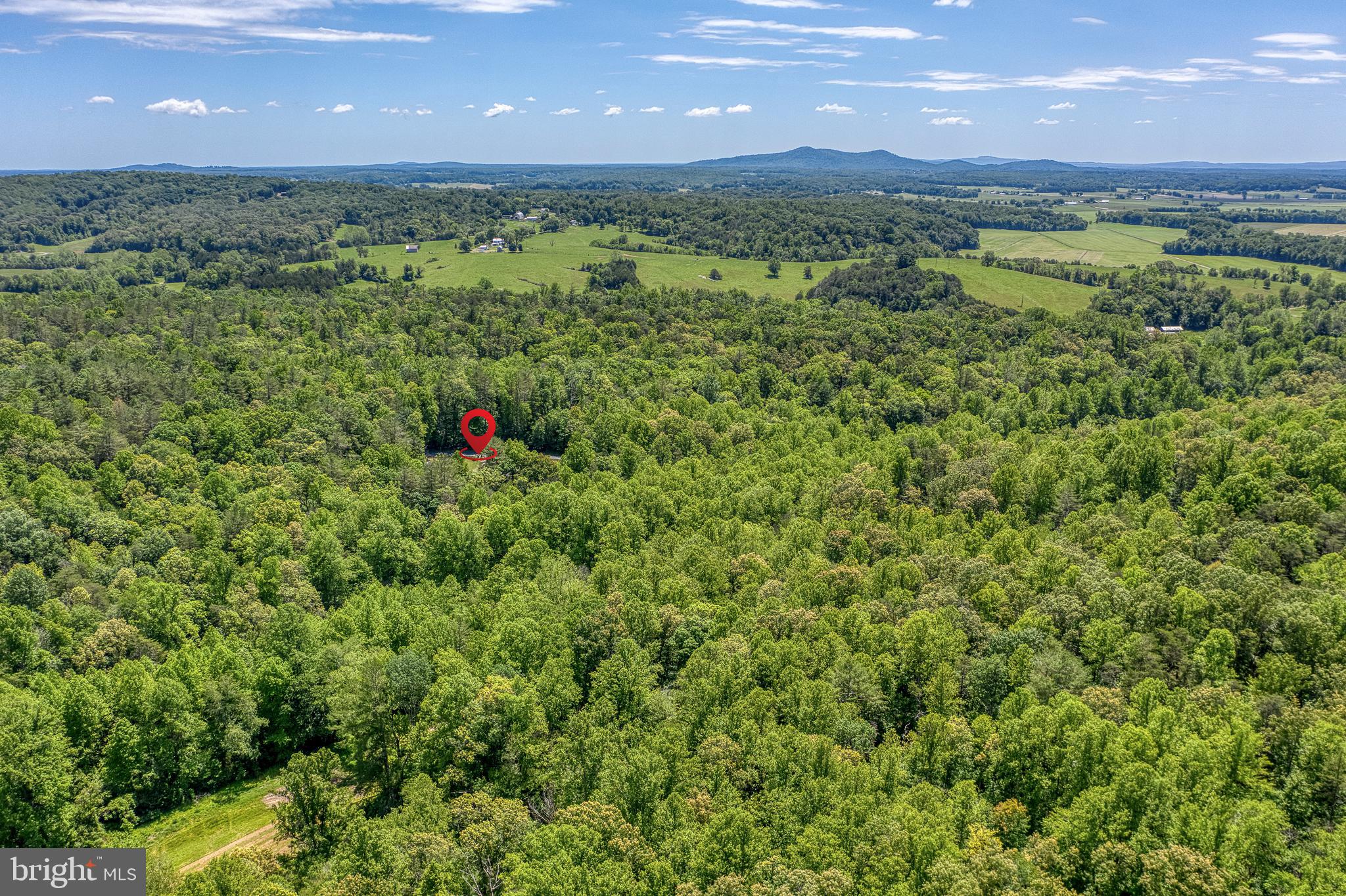 803 Weaver Hollow Road Banco, VA 22711 - Photo 64 of 67 a view of a lush green forest