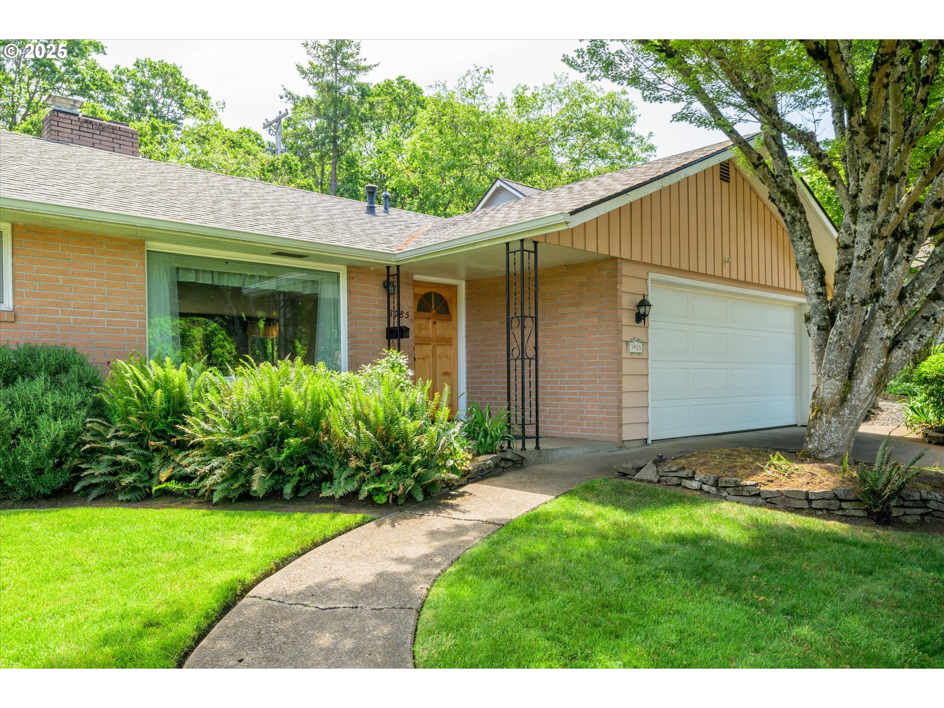 3985 Donald Street Eugene, OR 97405 - Photo 4 of 39 a view of a back yard of the house