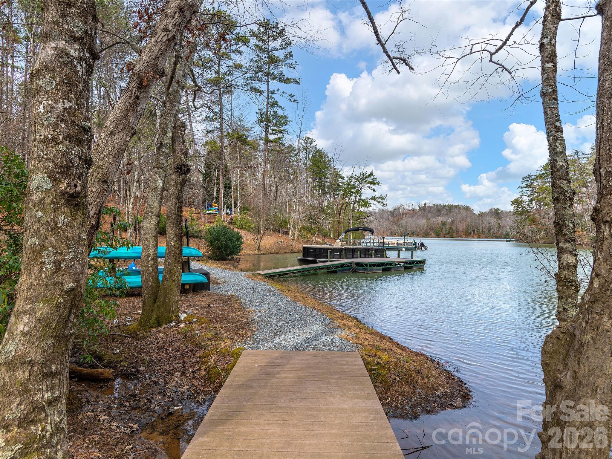 201 Hawk Ridge Drive Mill Spring, NC 28756 - Photo 3 of 44 Gallery Image 3