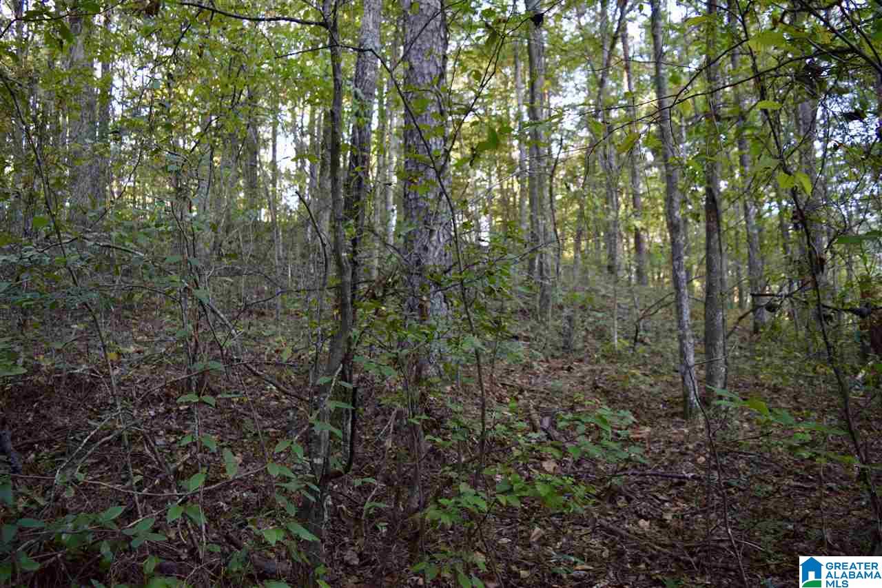 0 Mountain Lake Road, Unit LOT 7 Warrior, AL 35180 - Photo 1 of 11