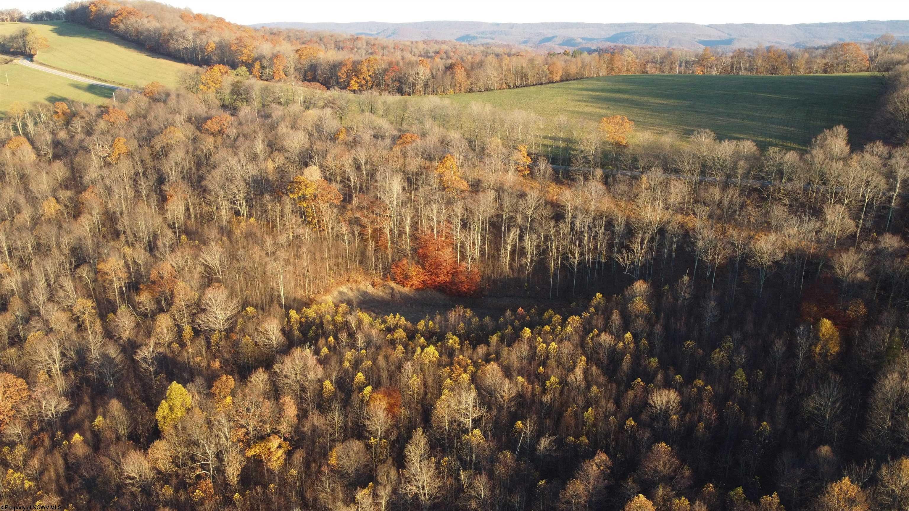 25-acres Stemple Ridge Road Aurora, WV 26705 - Photo 12 of 27 Gallery Image 12