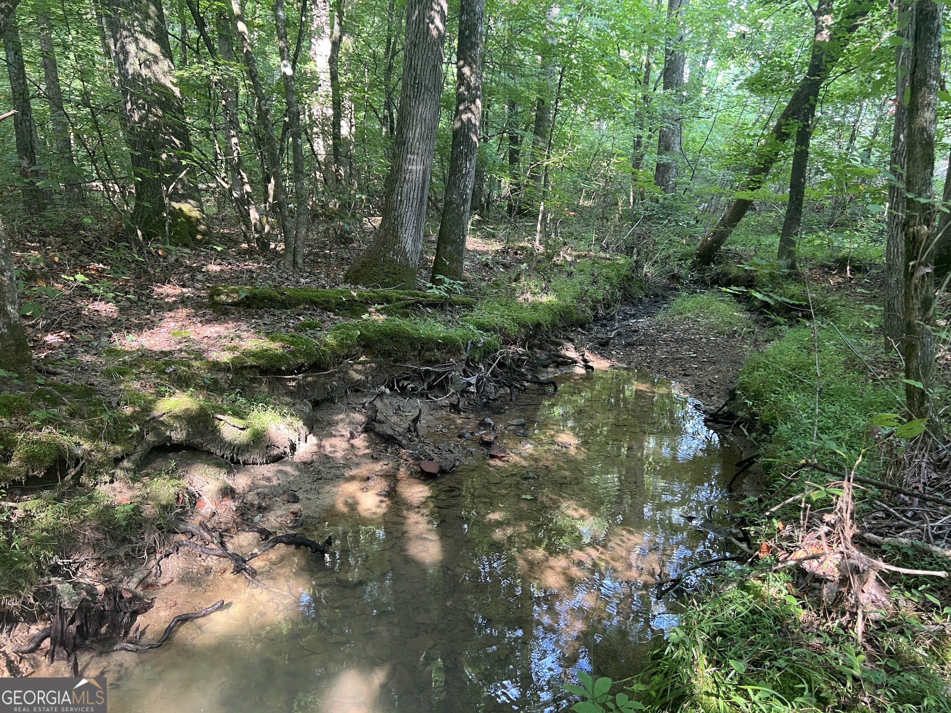 0 Nicklesville Road Northeast Ranger, GA 30734 - Photo 1 of 1