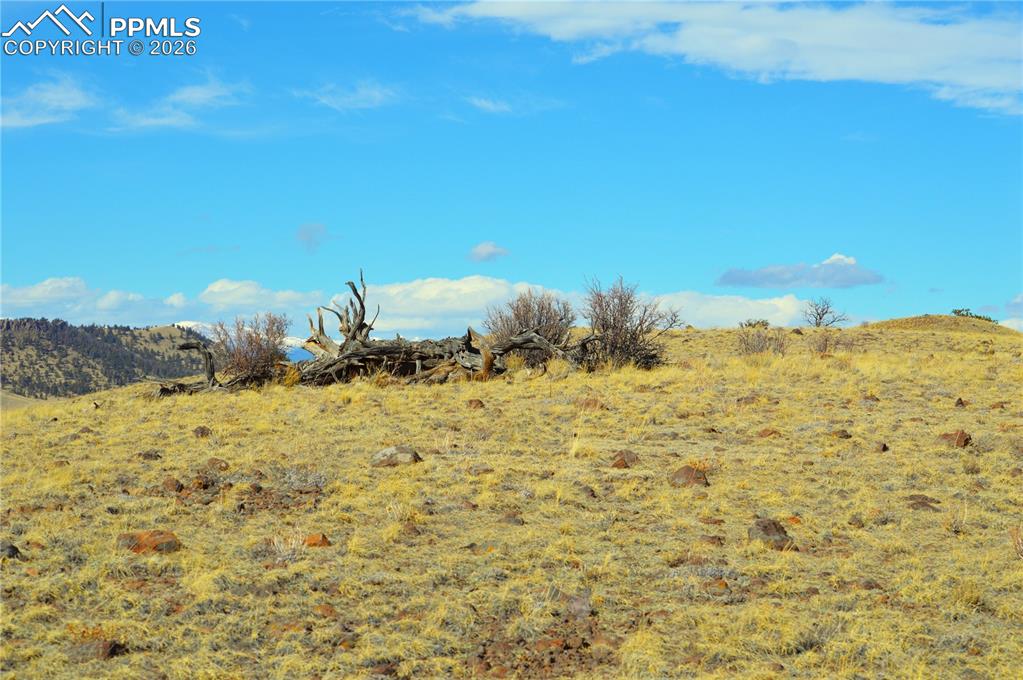 Ahlers Road Hartsel, CO 80449 - Photo 4 of 9 a view of ocean