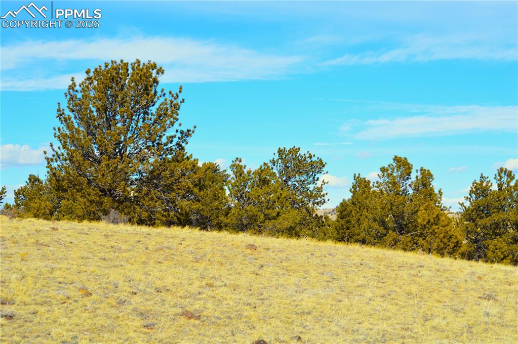 Ahlers Road Hartsel, CO 80449 - Photo 5 of 9