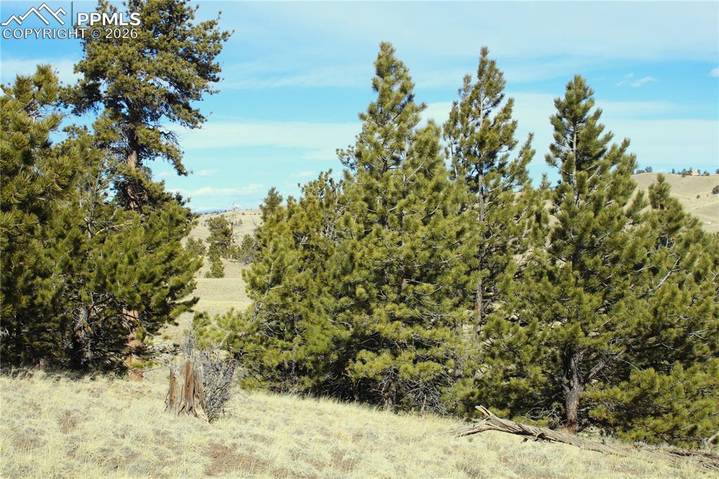 Ahlers Road Hartsel, CO 80449 - Photo 6 of 9 a view of a yard covered with snow in the background