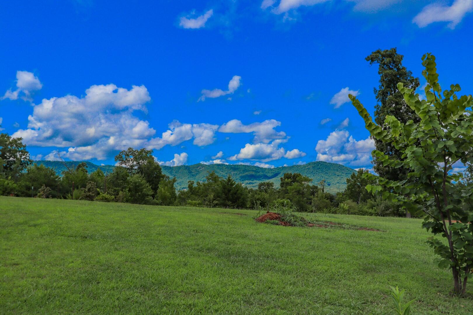 Lot 12 Cozy Road, Unit 12 Newport, TN 37821 - Photo 38 of 40 34