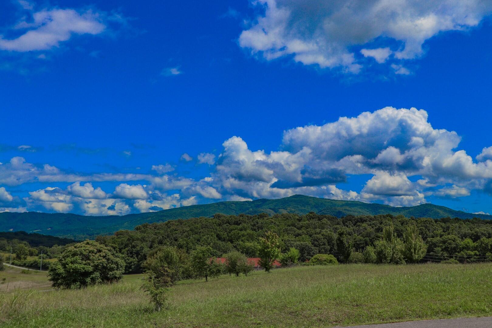 Lot 12 Cozy Road, Unit 12 Newport, TN 37821 - Photo 39 of 40 35