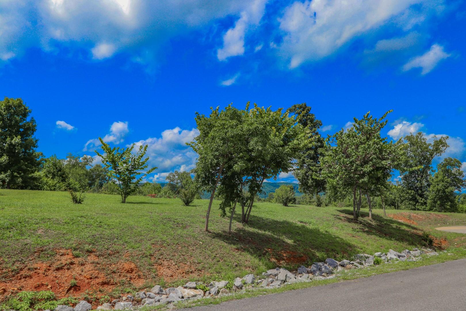 Lot 12 Cozy Road, Unit 12 Newport, TN 37821 - Photo 40 of 40 36