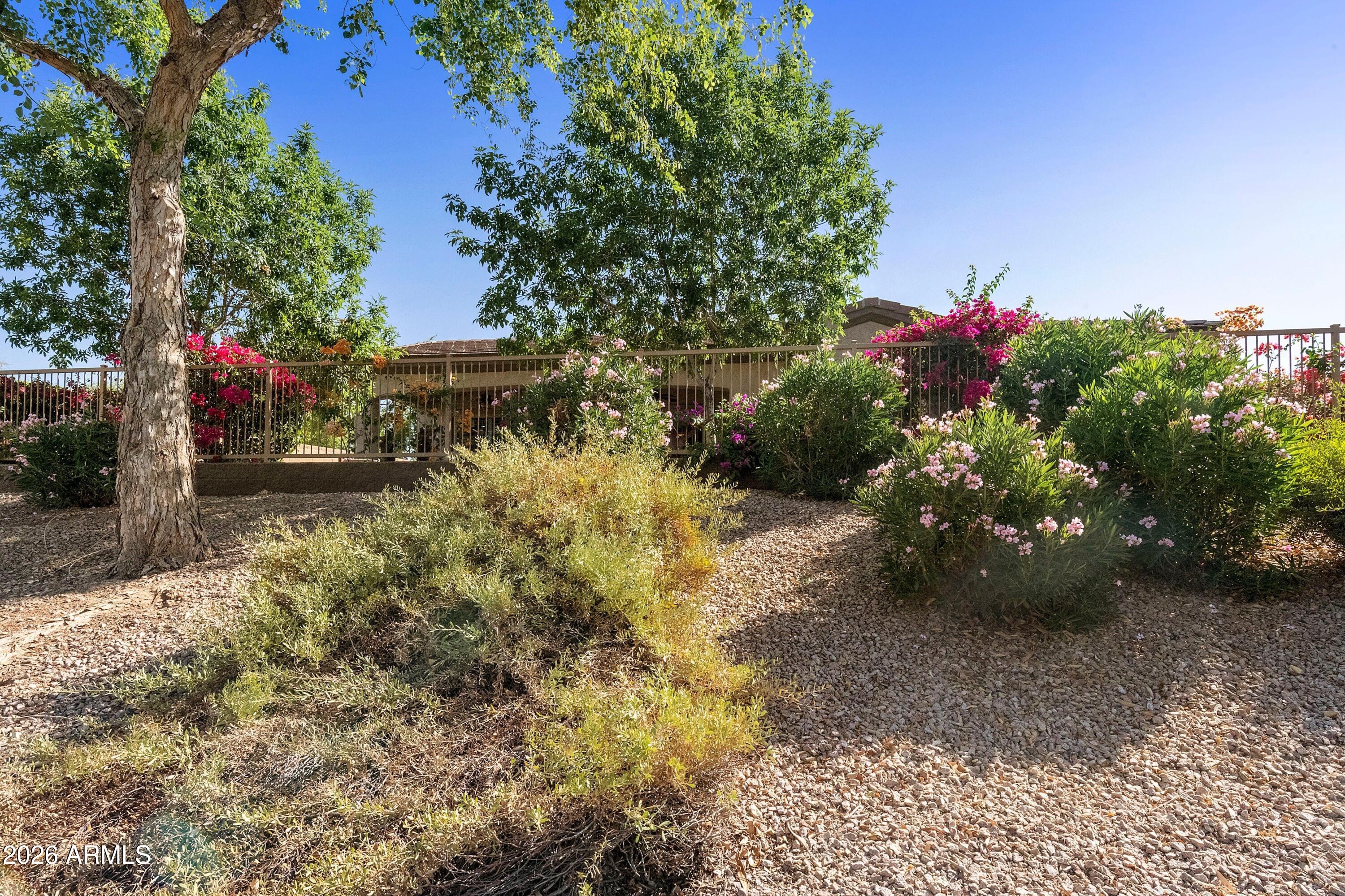 4239 East Ficus Way Gilbert, AZ 85298 - Photo 56 of 77