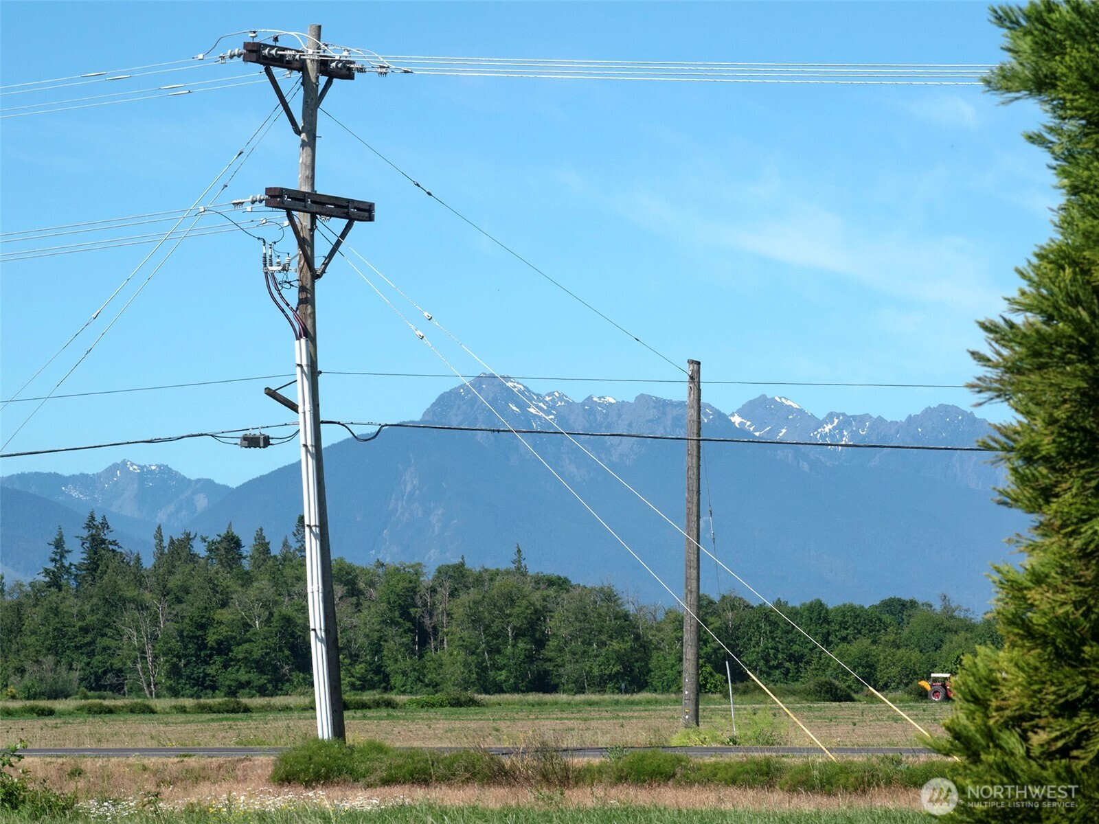 40 Cascadia Loop Sequim, WA 98382 - Photo 11 of 40 a view of a yard with a table and chairs