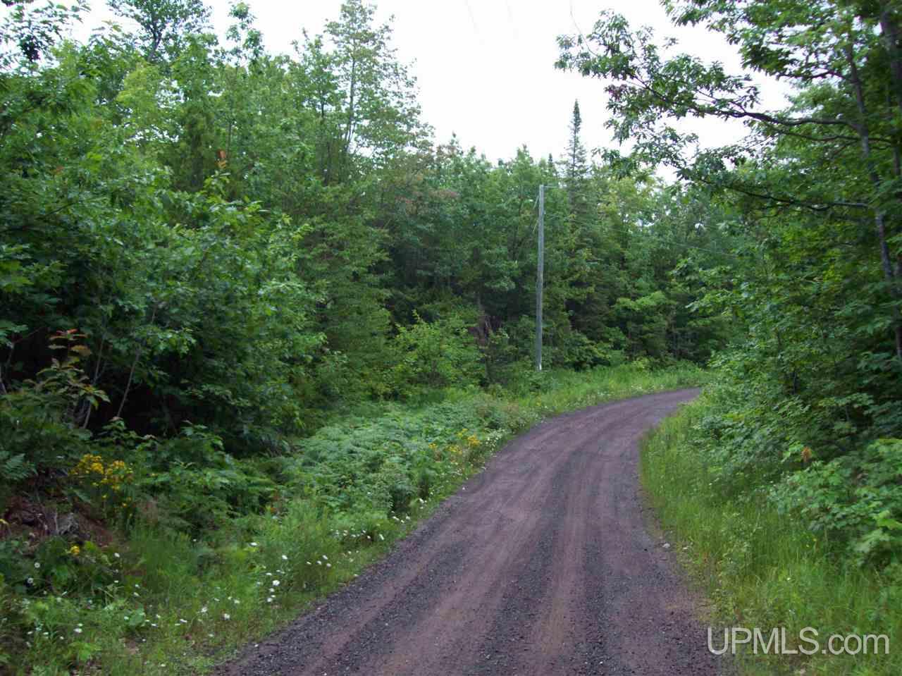 Tbd Tbd Washington Mine Road, Unit LOT 21 Mohawk, MI 49950 - Photo 7 of 9