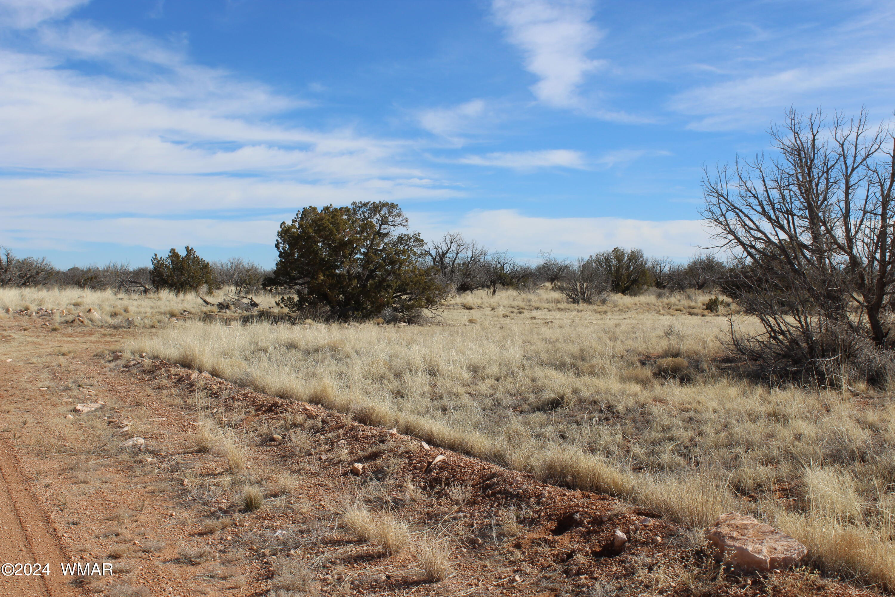 Lot 327 Chevelon Canyon Ranch Heber, AZ 85928 - Photo 1 of 3