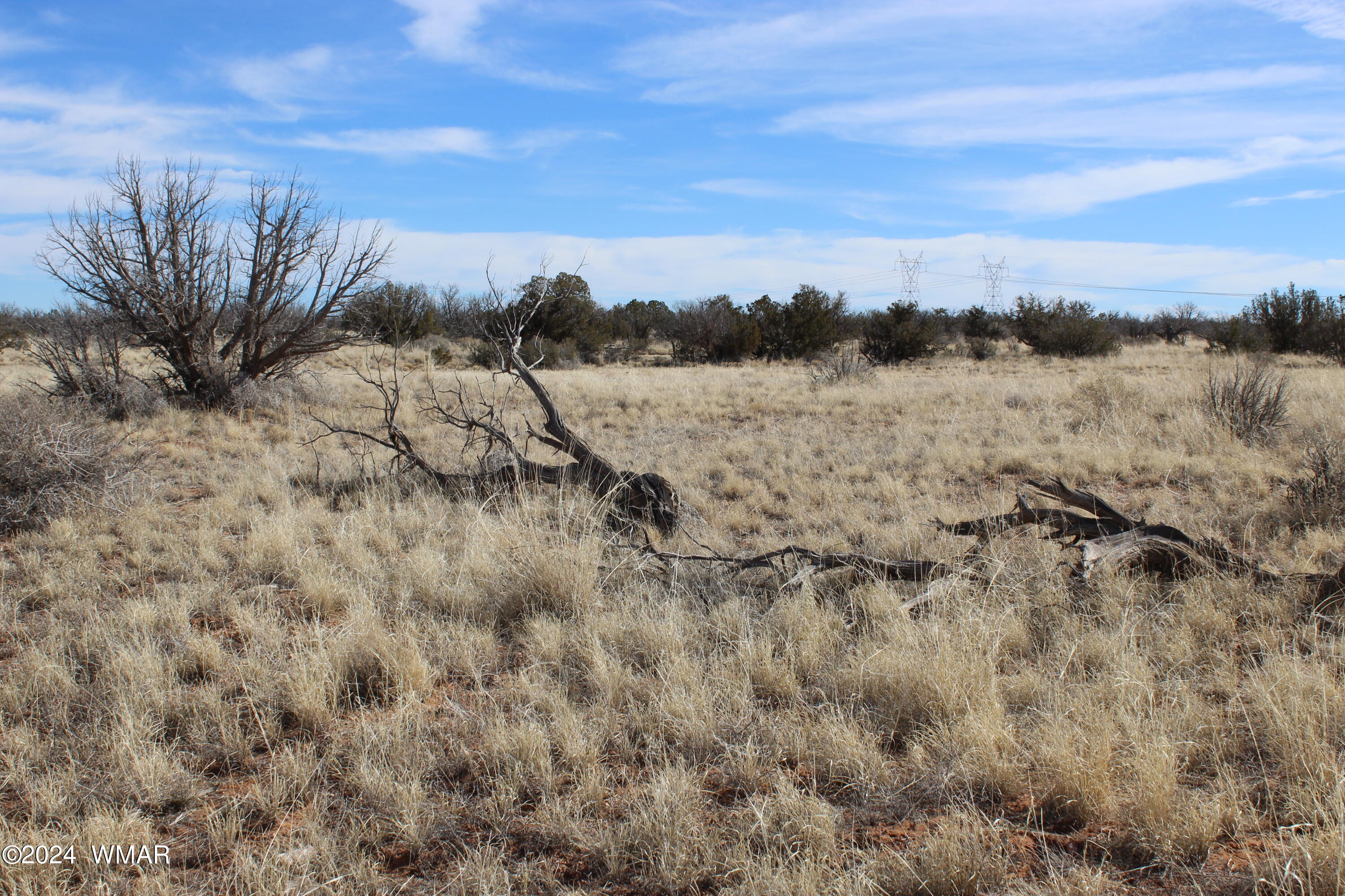 Lot 327 Chevelon Canyon Ranch Heber, AZ 85928 - Photo 2 of 3