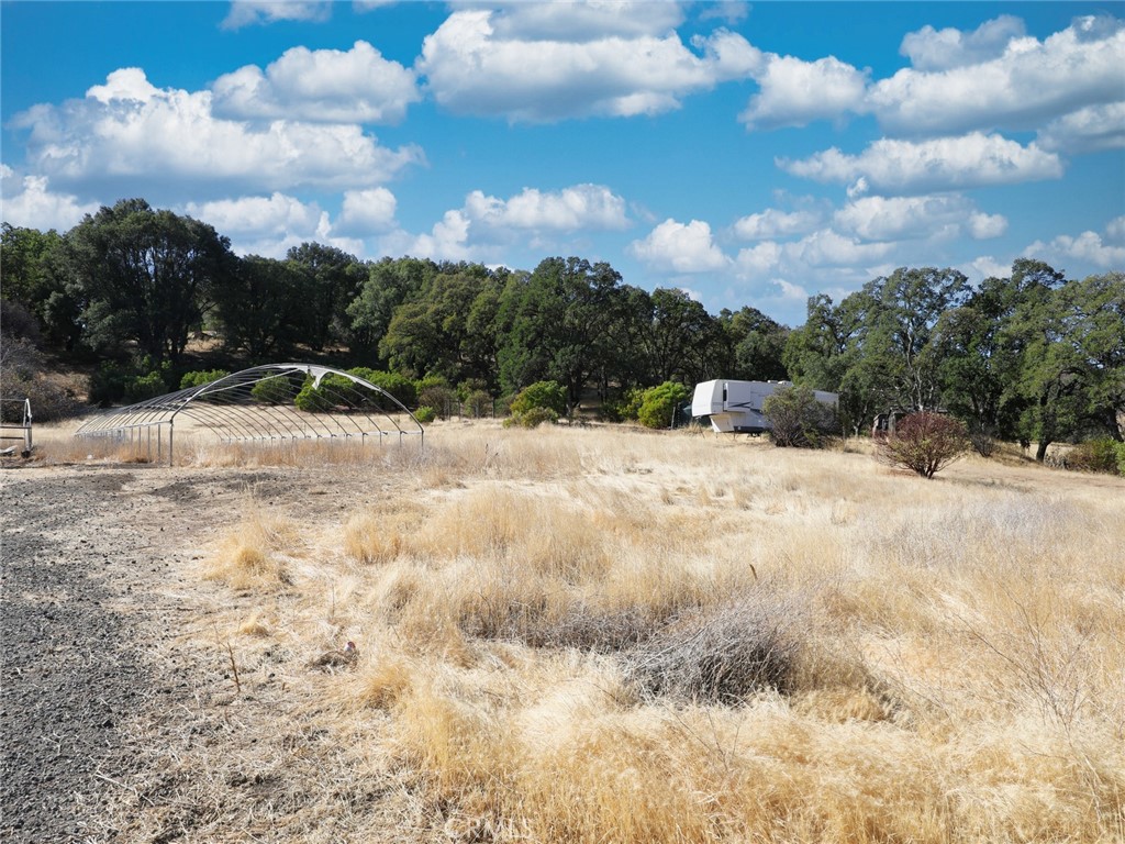 9520 Rocky Creek Road Lower Lake, CA 95457 - Photo 15 of 40 a view of a dry yard covered with snow