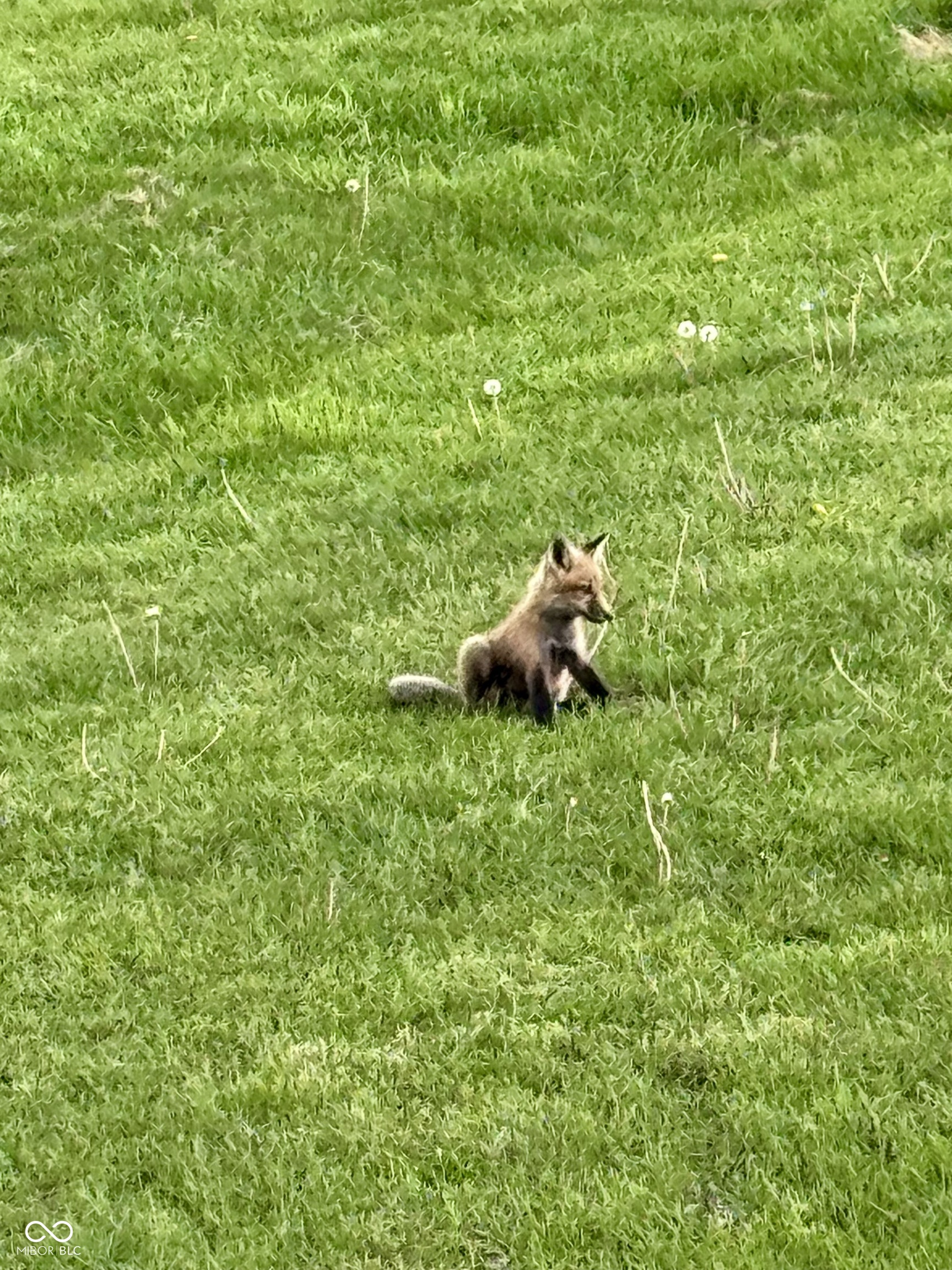 4530 South Frye Hill Road Williamsport, IN 47993 - Photo 68 of 71