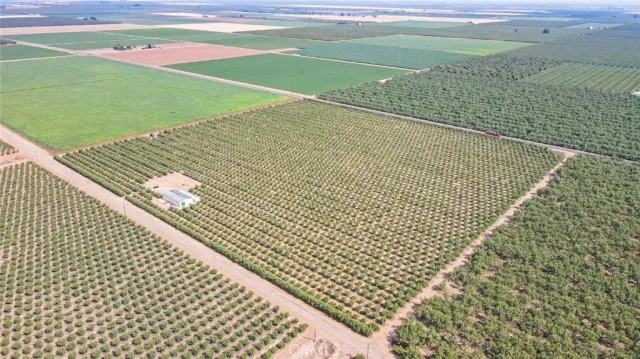 a view of a yard with an outdoor space