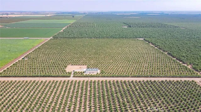 a view of a backyard with a large tree