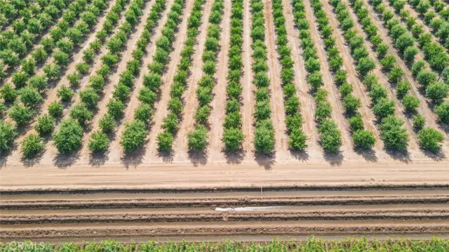 a view of swimming pool with outdoor space