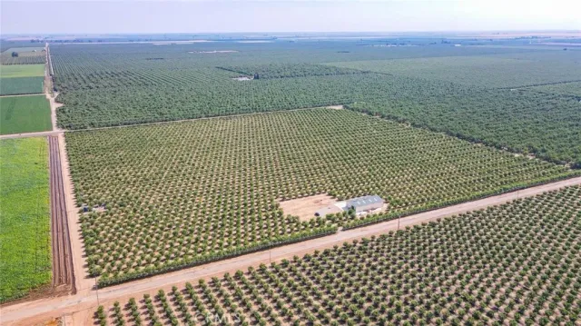 a view of a yard with plants and a trees