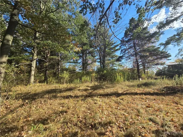 $40,000 | 14503 Erway Track, Carlton, NY 14571