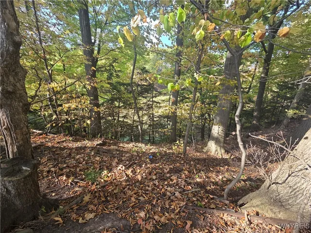 $40,000 | 14503 Erway Track, Carlton, NY 14571