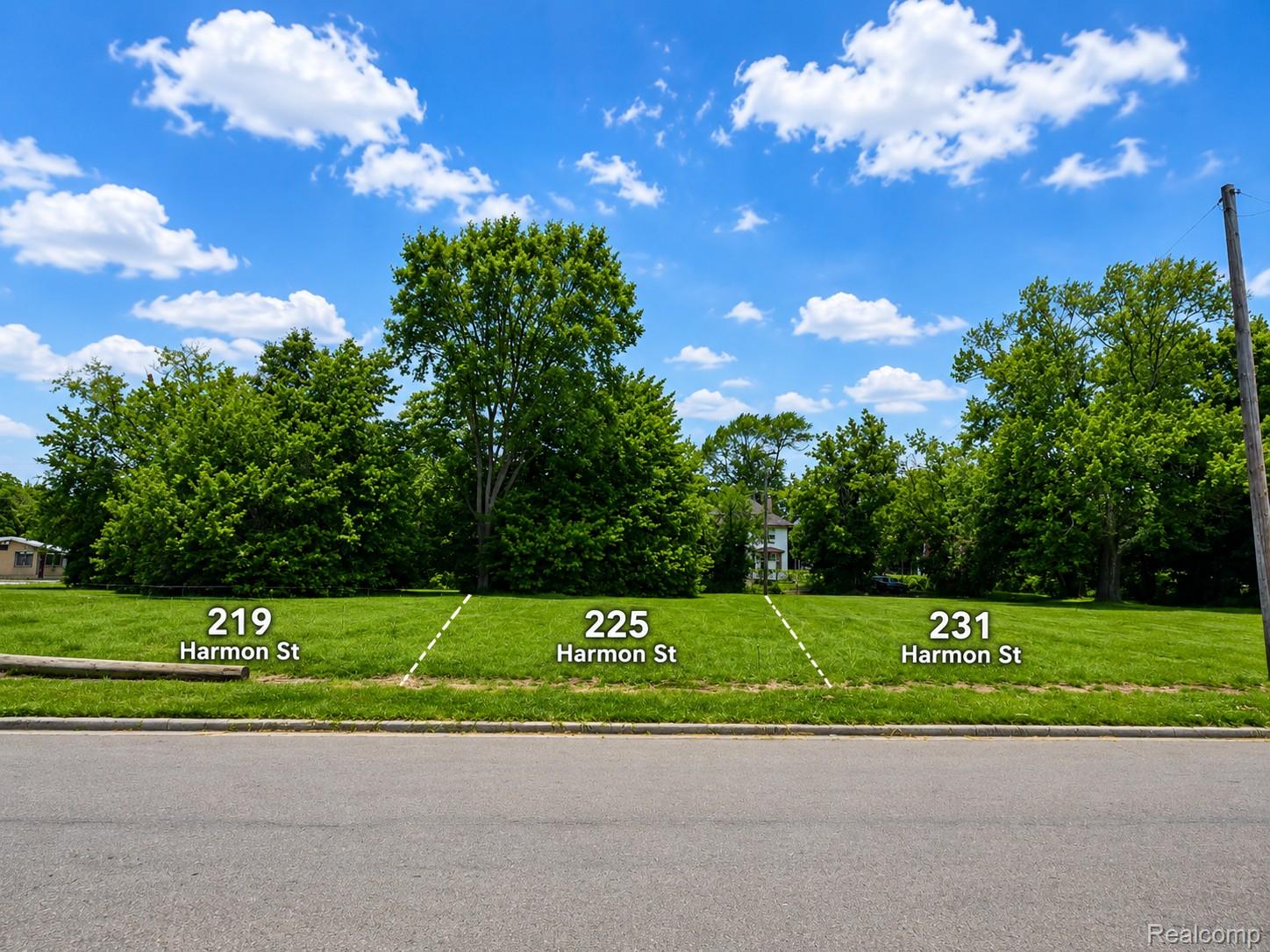 231 Harmon Street Detroit, MI 48202 - Photo 2 of 4 All Lots.jpg