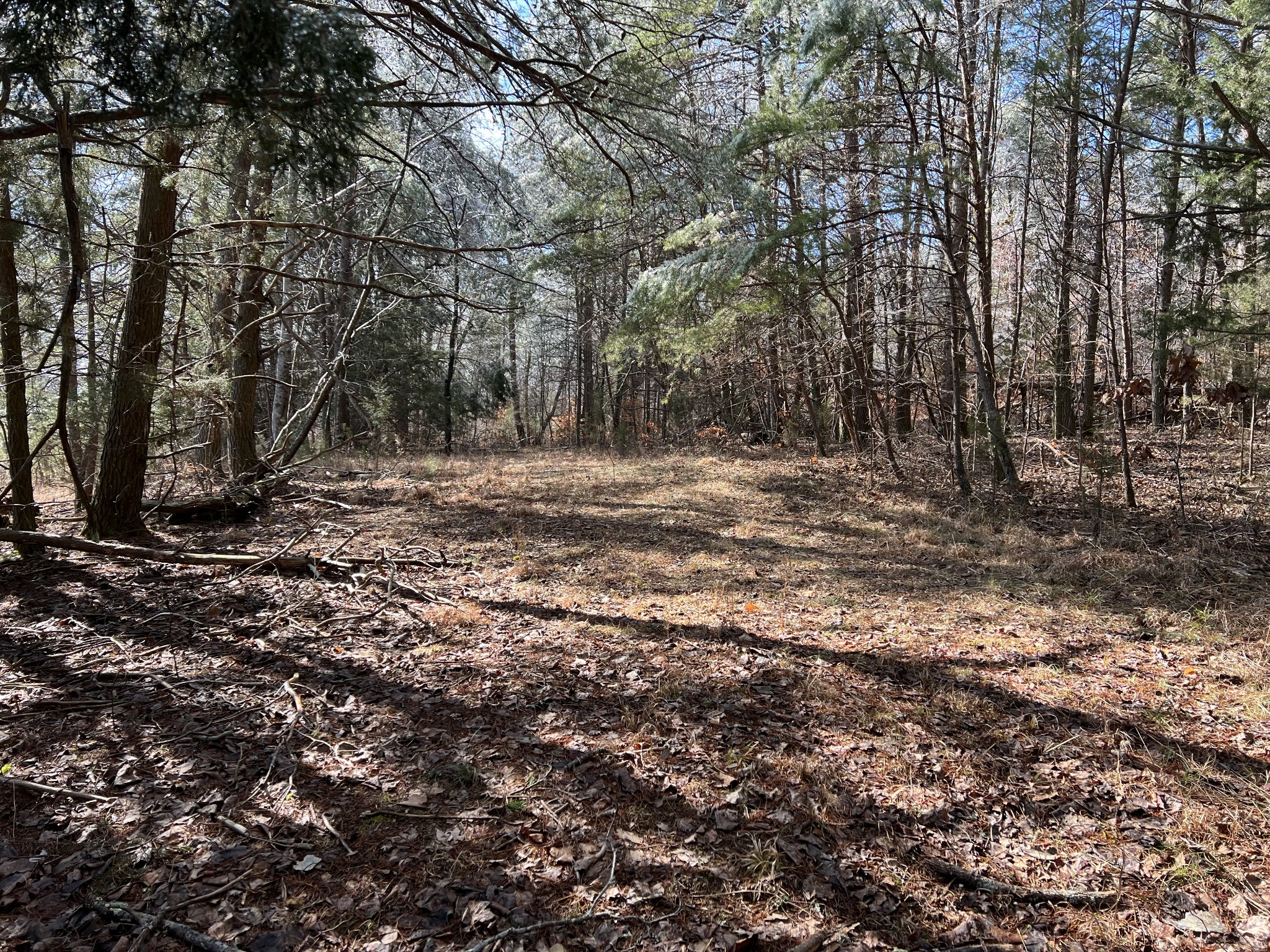 67 Shedd Road Lawrenceburg, TN 38464 - Photo 14 of 42 Gallery Image 14